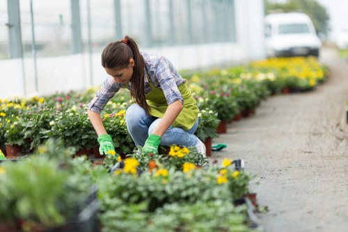 Customer concern review in a garden maintenance setting