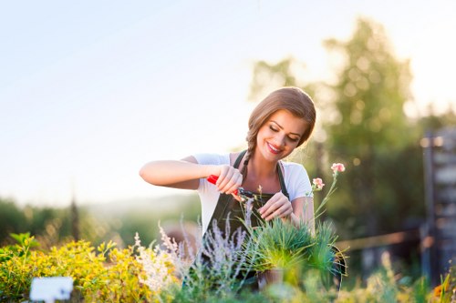 Gardeners Falconwood introducing local garden care and maintenance services