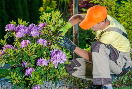Keyboard navigation and usability support for Falconwood gardening services