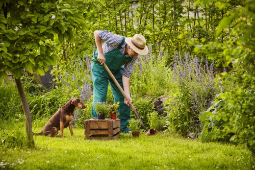 Overgrown garden clearance and restoration services in Falconwood