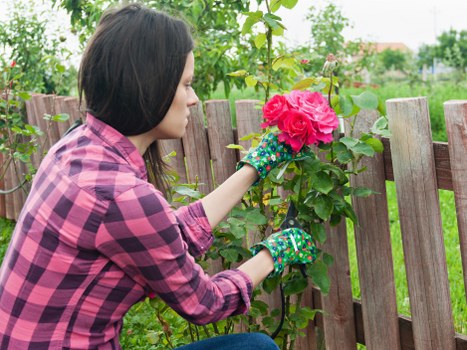 Example garden clearance and maintenance jobs in Falconwood