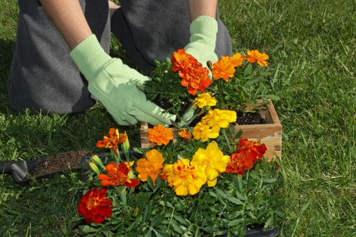 Payment and invoice terms for gardening services