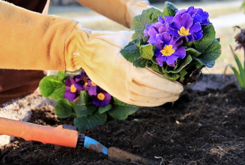 Gardeners Falconwood creating a well-kept and inviting outdoor space