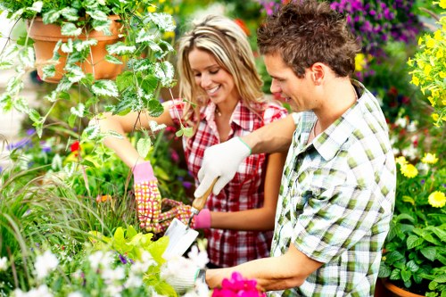 Falconwood garden maintenance with hedges lawns and seasonal planting