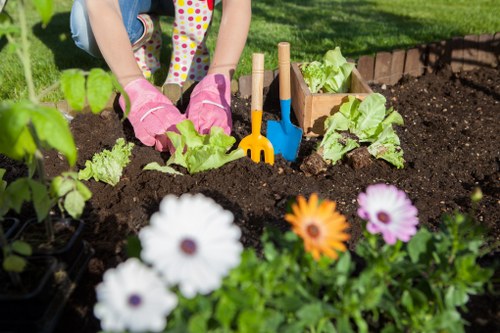 Summer lawn care in Falconwood with well-kept turf
