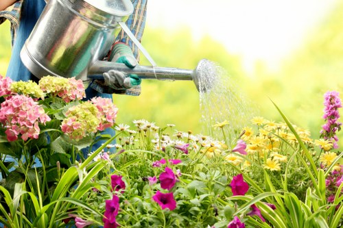 Soft landscaping in Falconwood with colorful planting and lawn