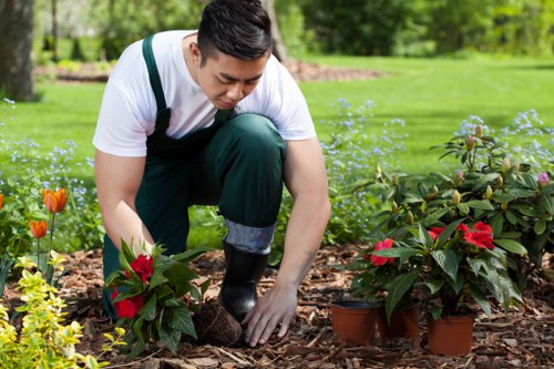 Falconwood recycling and sustainability in garden maintenance