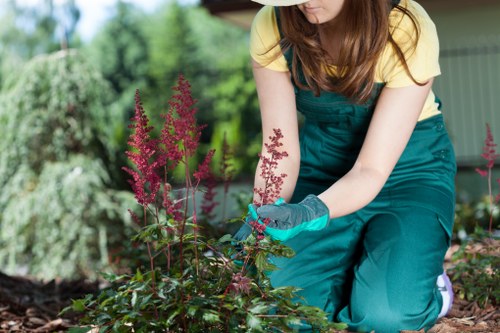 Inspection of garden work during a complaint review