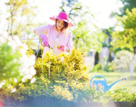 Professional grass cutting in a Falconwood garden during routine maintenance