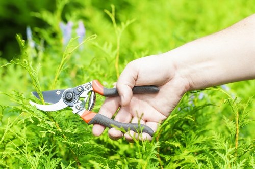 Seasonal garden upkeep in Falconwood with pruning and leaf clearance