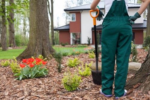 Falconwood garden care with well-kept borders and planted shrubs