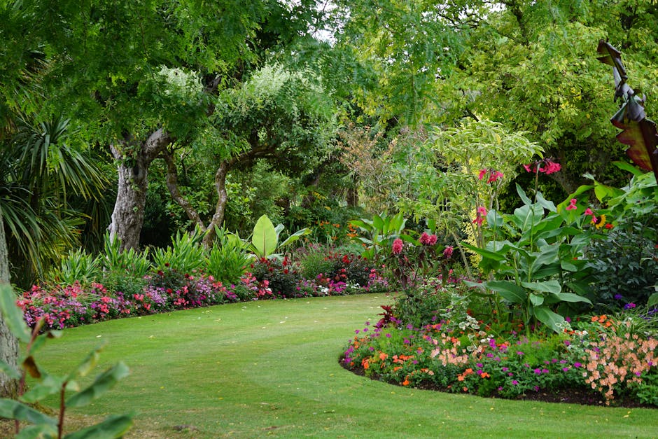 A small, dense conifer shrub with dark green, needle-like foliage sits in a garden bed filled with small, multicolored gravel. Surrounding the shrub are large, weathered rocks, contributing to a natur