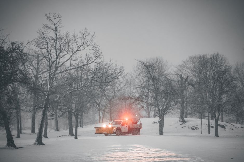 A snow-covered garden scene with several leafless trees scattered across the landscape, their bare branches lightly dusted with snow. The ground is blanketed in white snow, with visible patches of wet